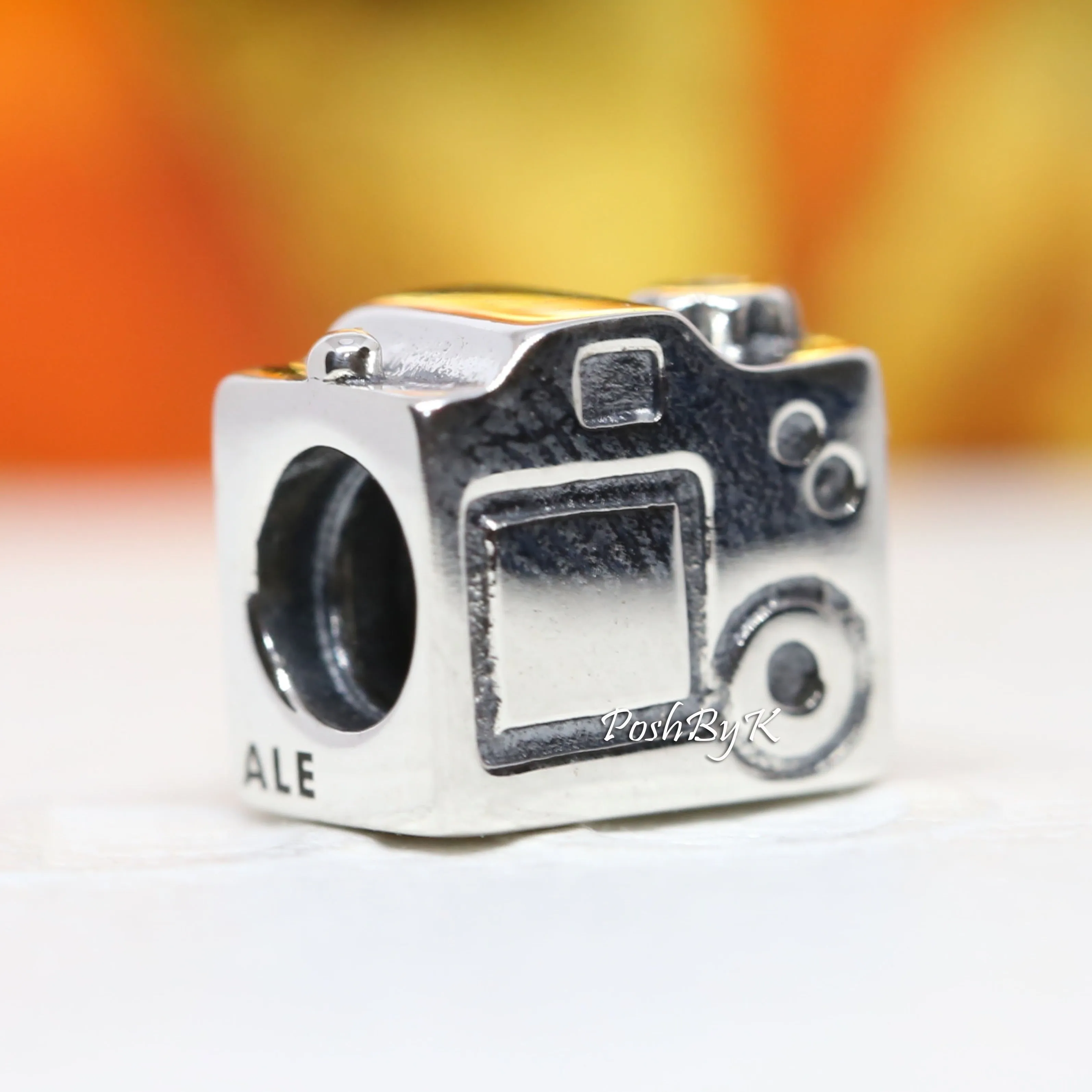 Camera Charm 790961