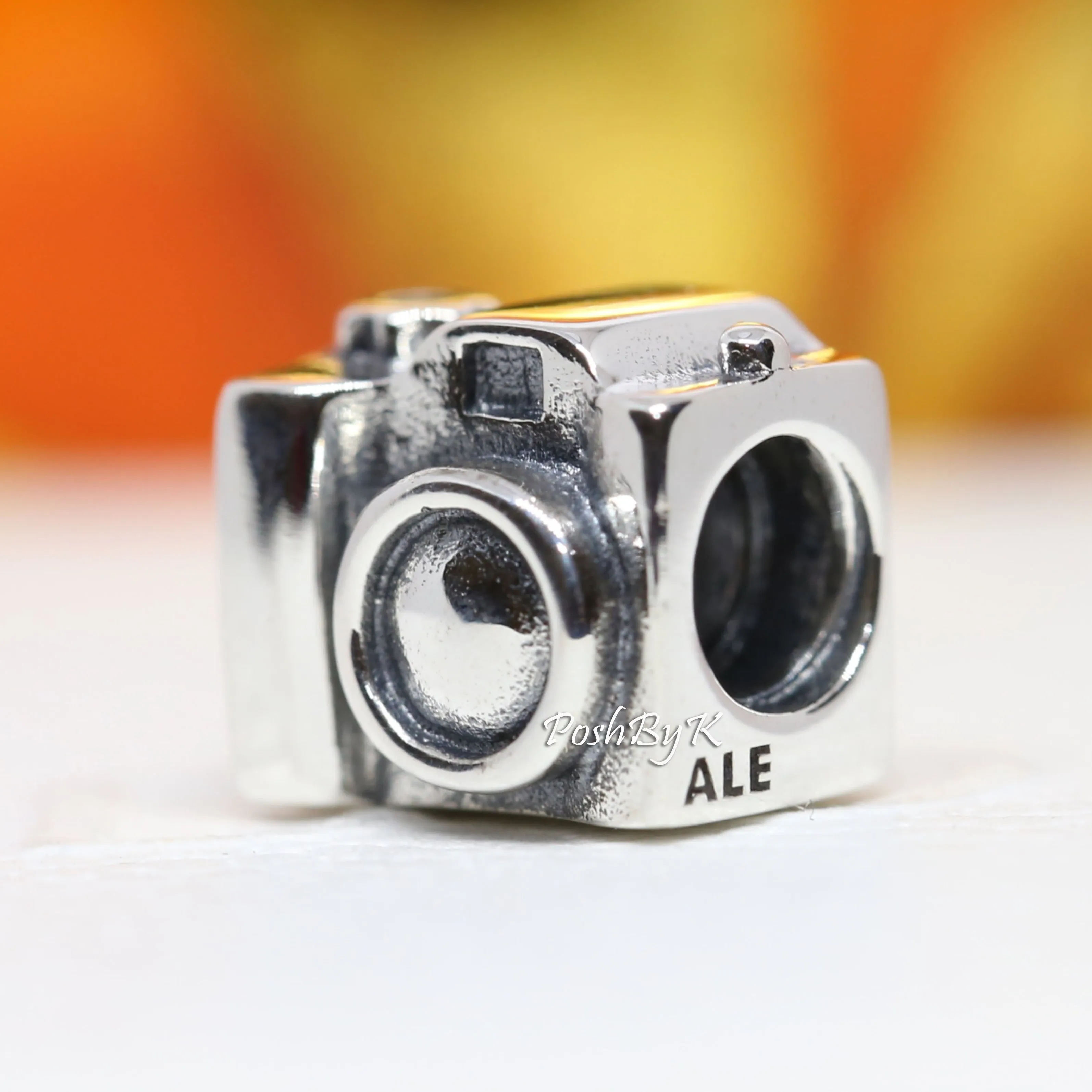 Camera Charm 790961