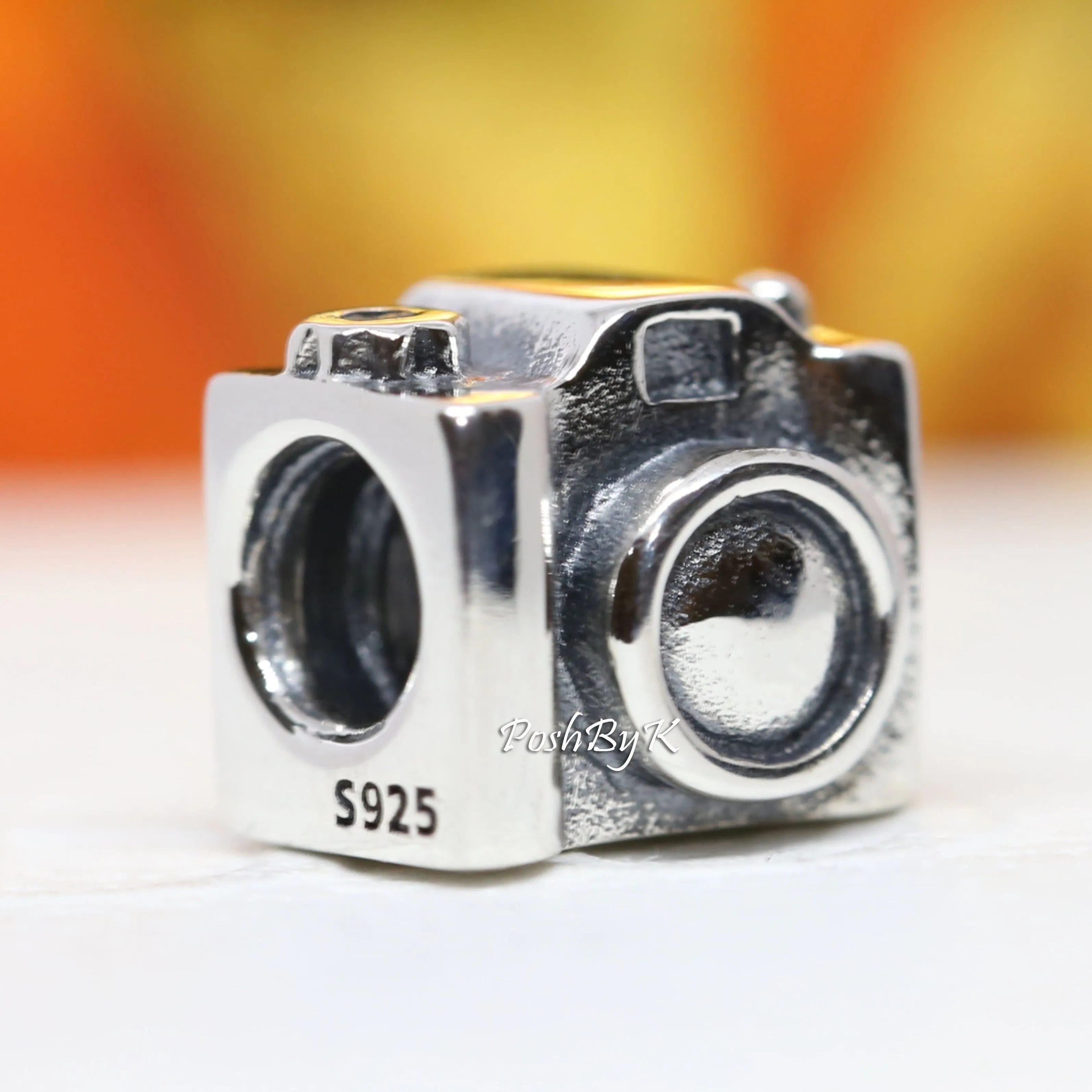 Camera Charm 790961