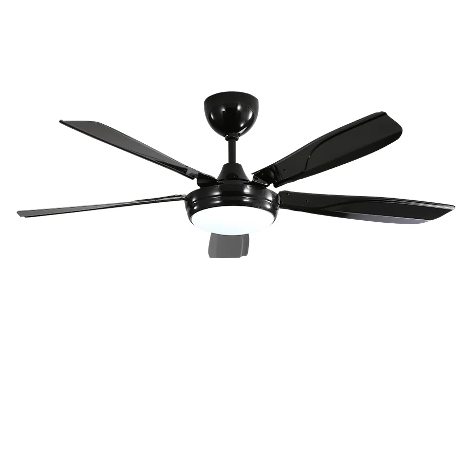 Endel Ceiling Fan