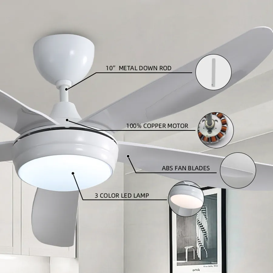 Endel Ceiling Fan