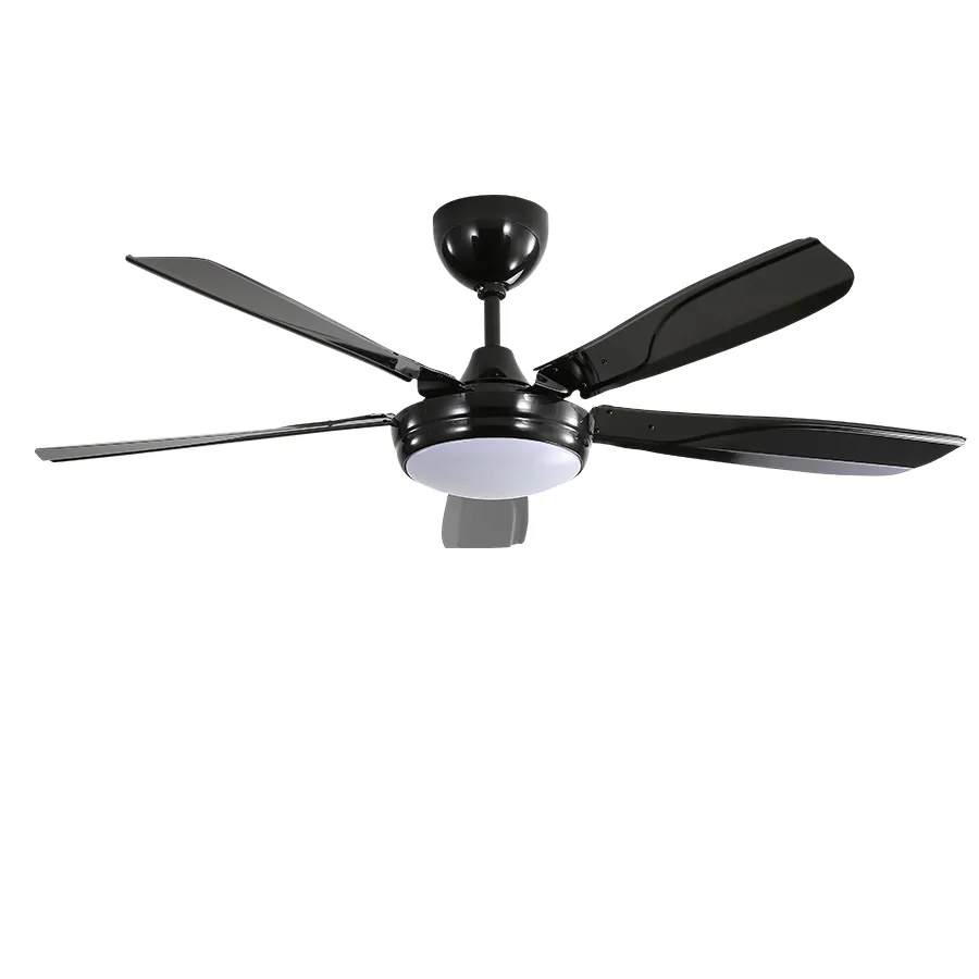 Endel Ceiling Fan