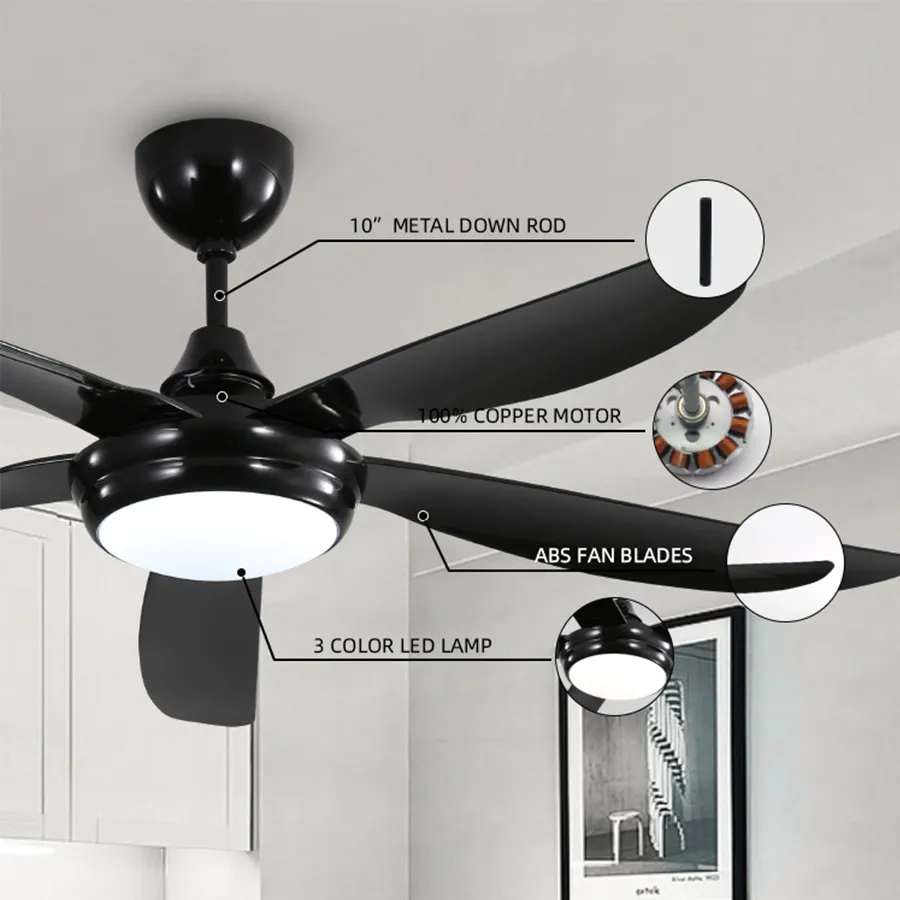 Endel Ceiling Fan