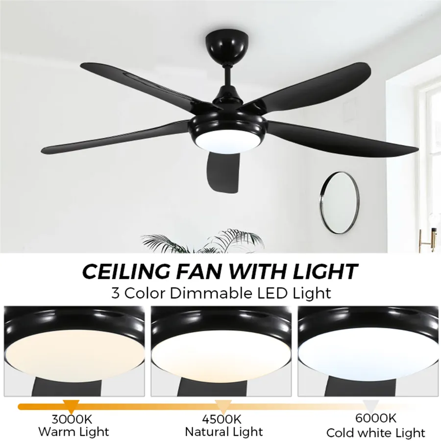 Endel Ceiling Fan