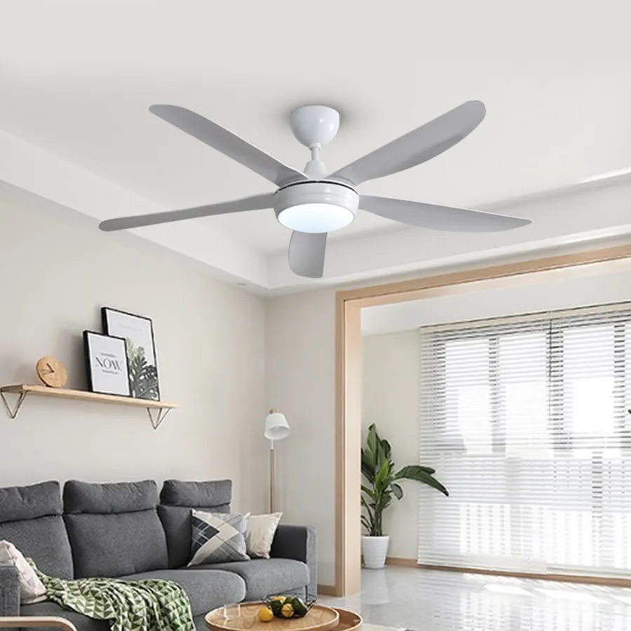 Endel Ceiling Fan