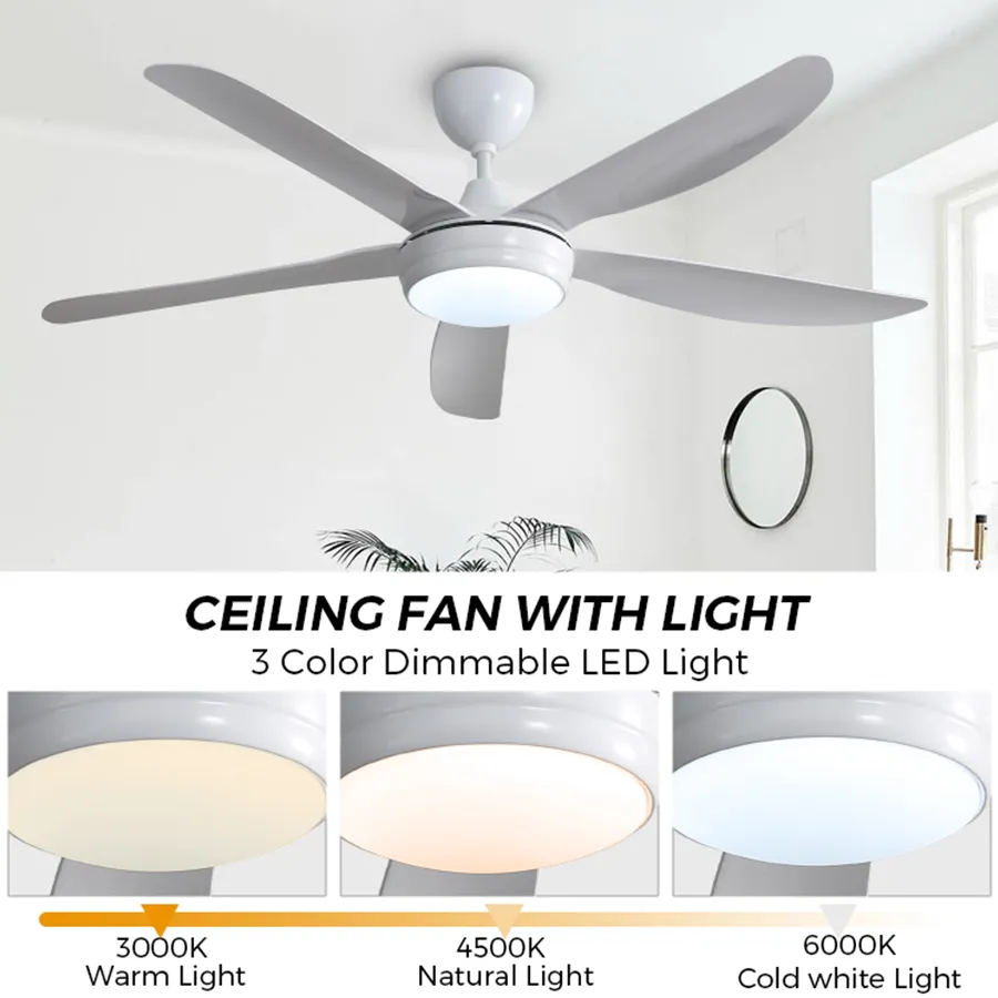 Endel Ceiling Fan