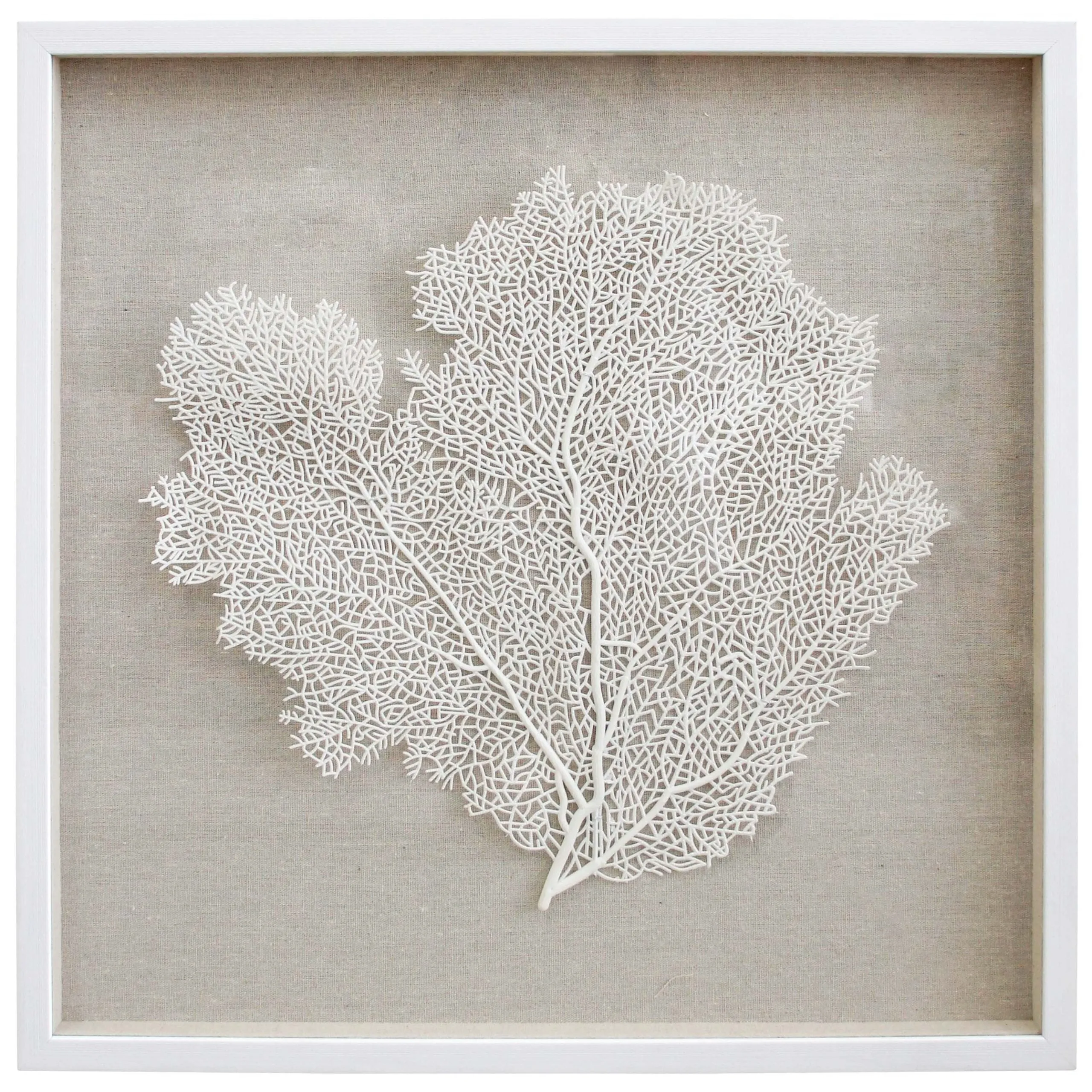 Framed Fan Coral White