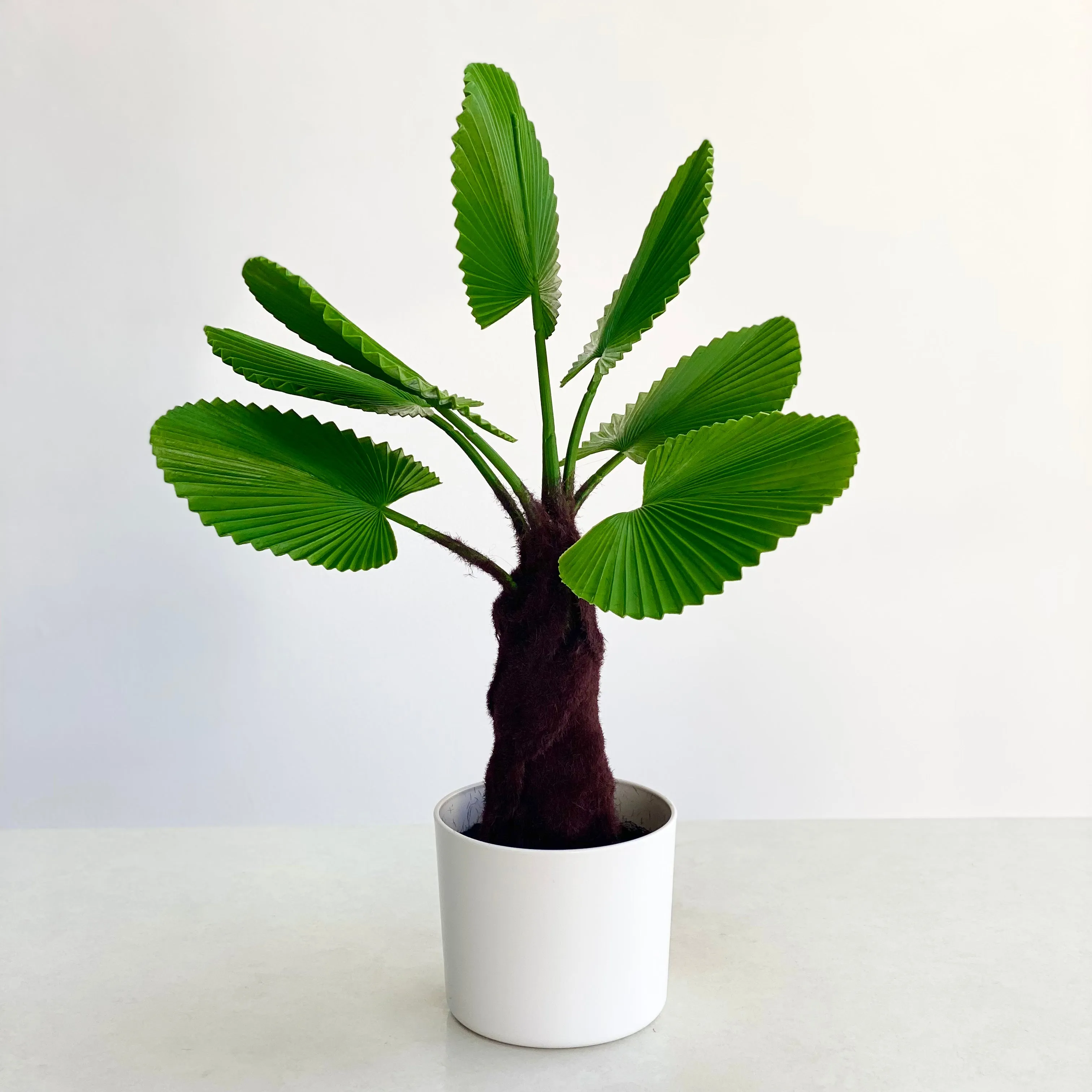 Potted Fan Leaf Faux Plant